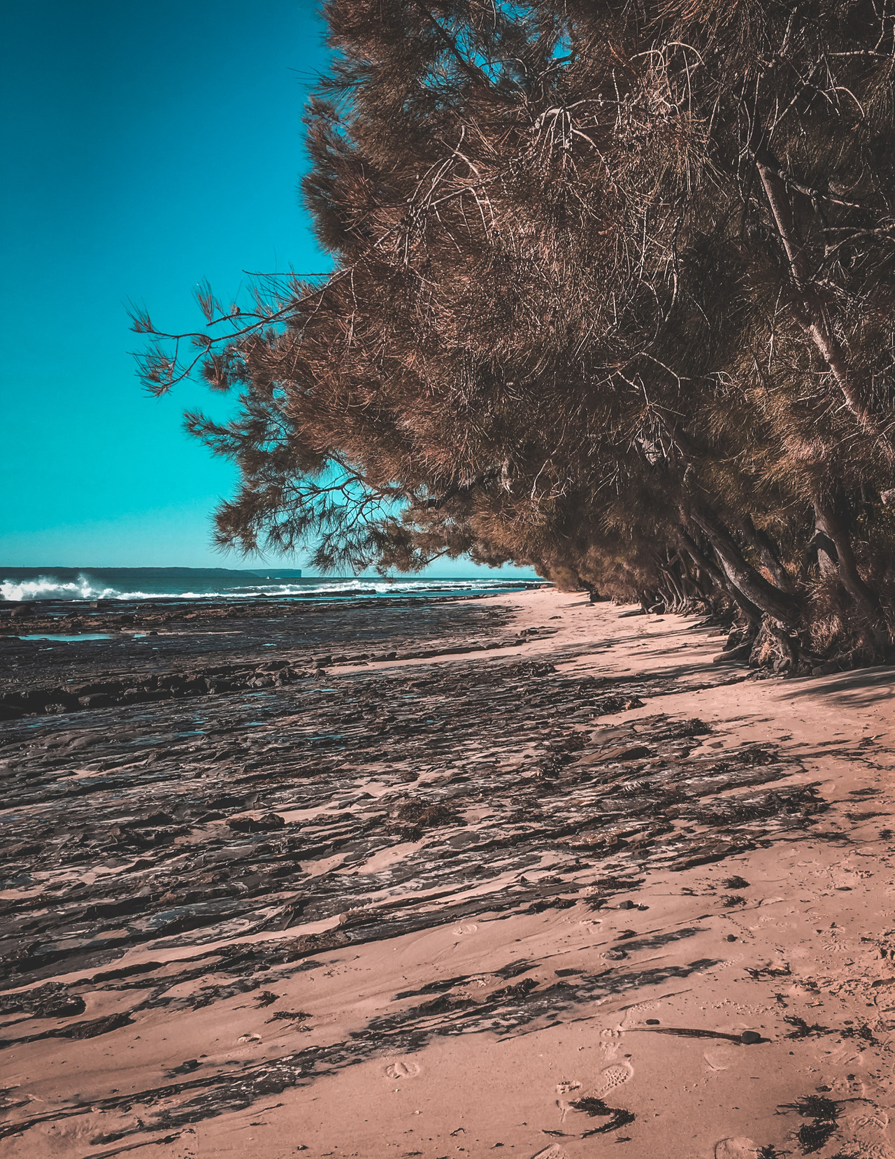 Praia cheia de pedras e arvores 