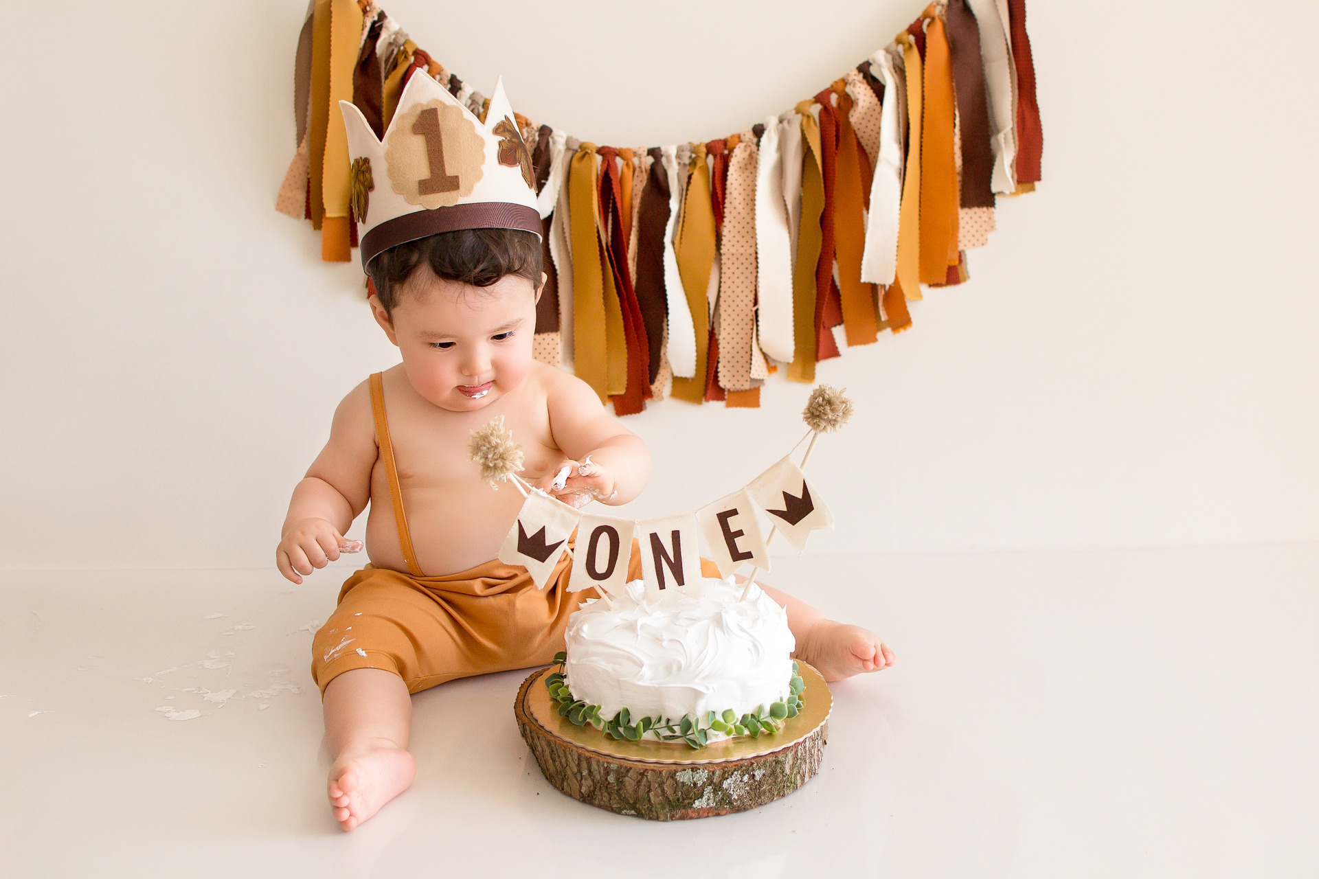acompanhamento bebe, acompanhamento trimestral, ensaio bebe, fotografo sorocaba, smash the cake