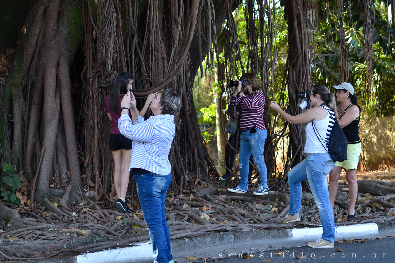 Curso de Fotografia em Holambra