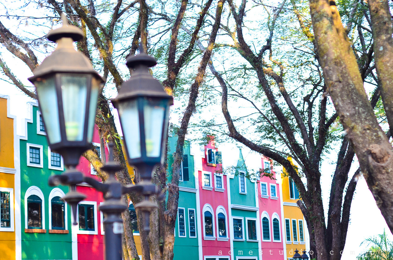 Workshop de Fotografia em Holambra