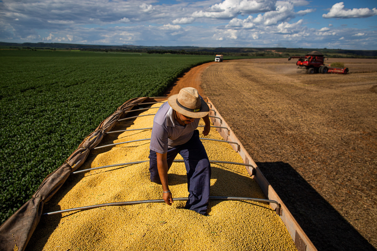 Colheita de soja e grãos. Foto: Wenderson Araujo/Trilux fotógrafo do agro