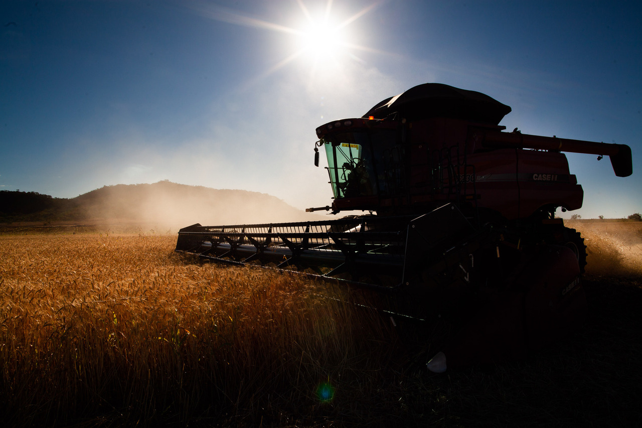 Colheitadeira de trigo, campo de trigo. Foto: Wenderson Araujo/Trilux - Maior fotógrafo do agro brasileiro