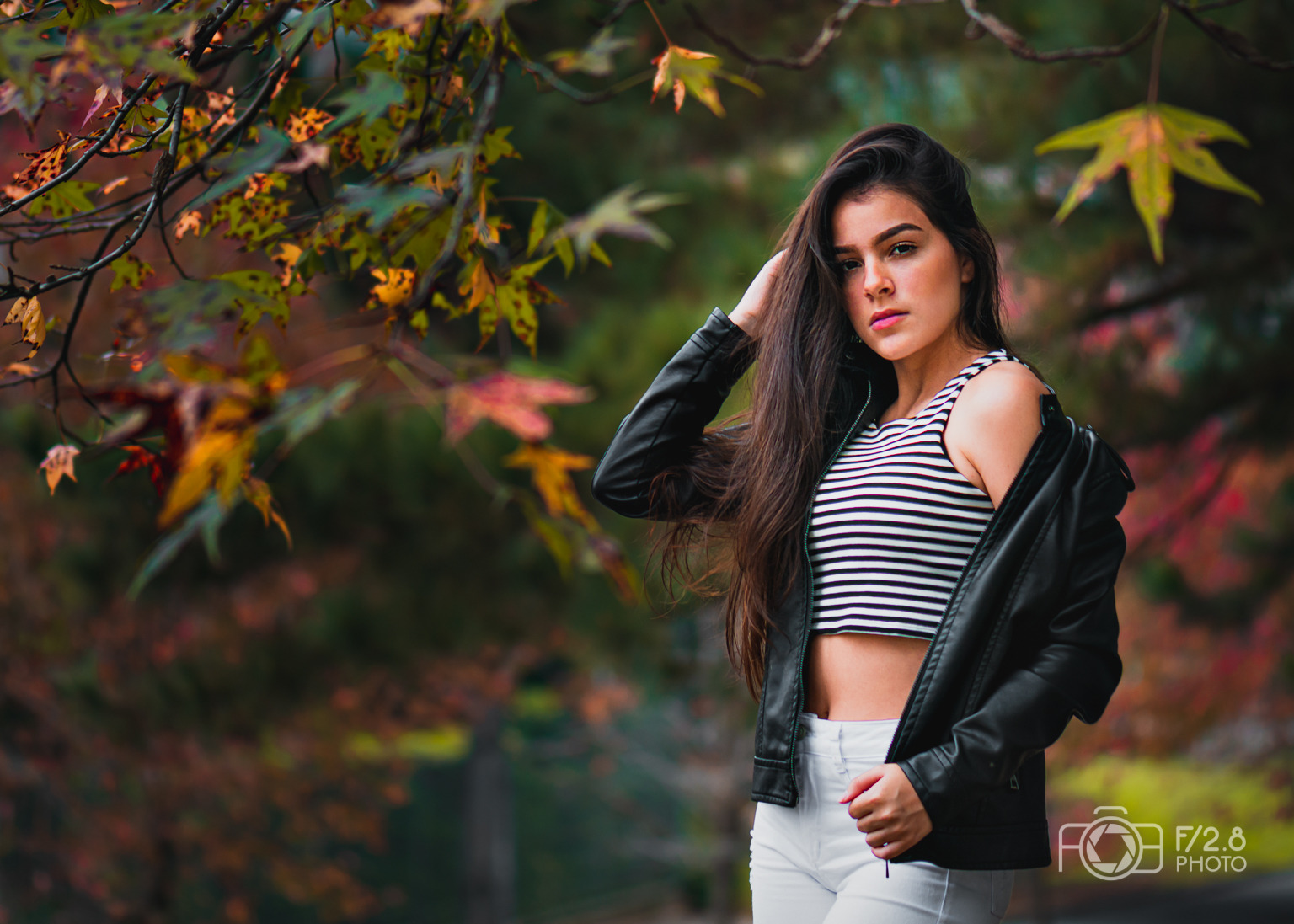 foto 15 anos curitiba