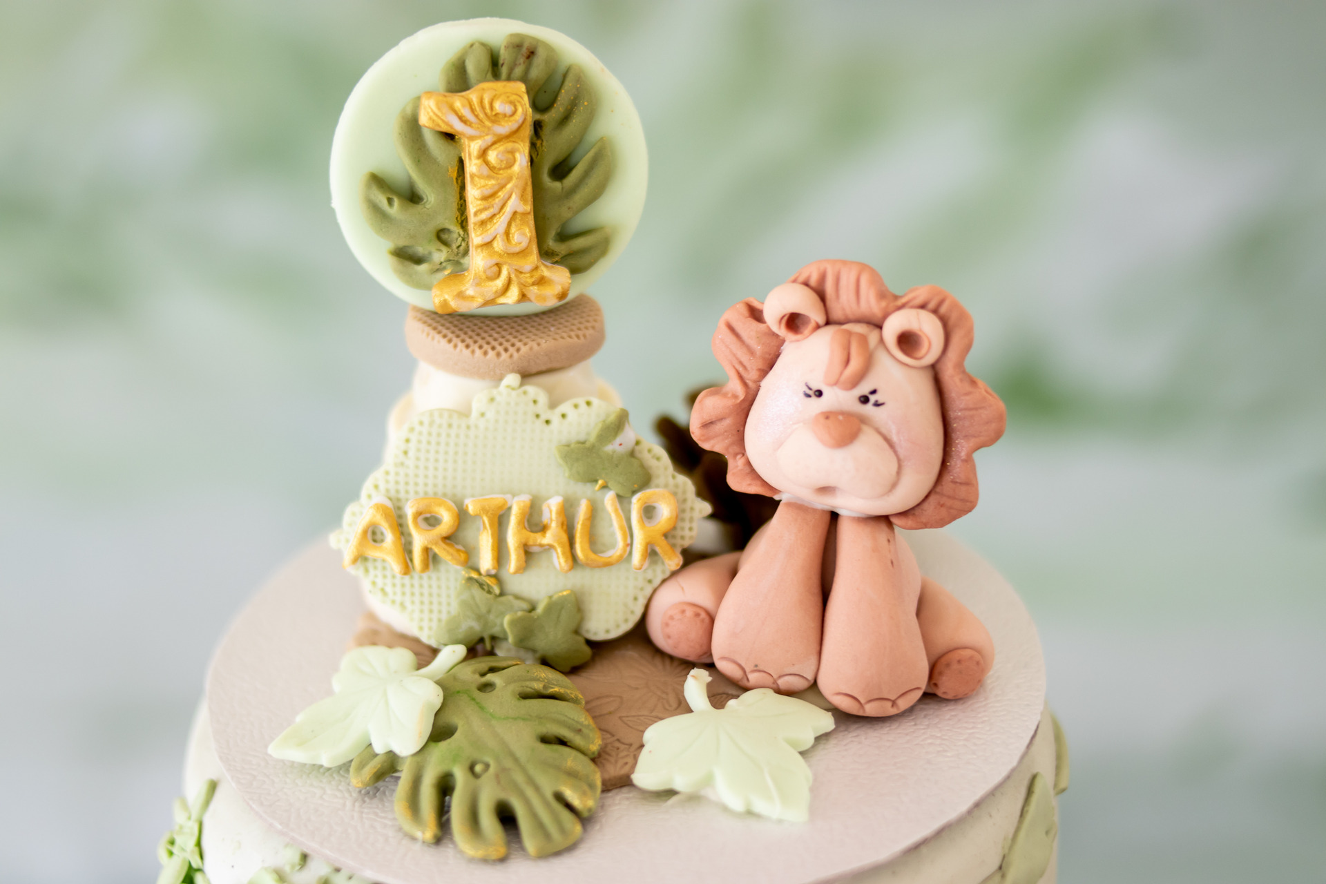 acompanhamento do bebe