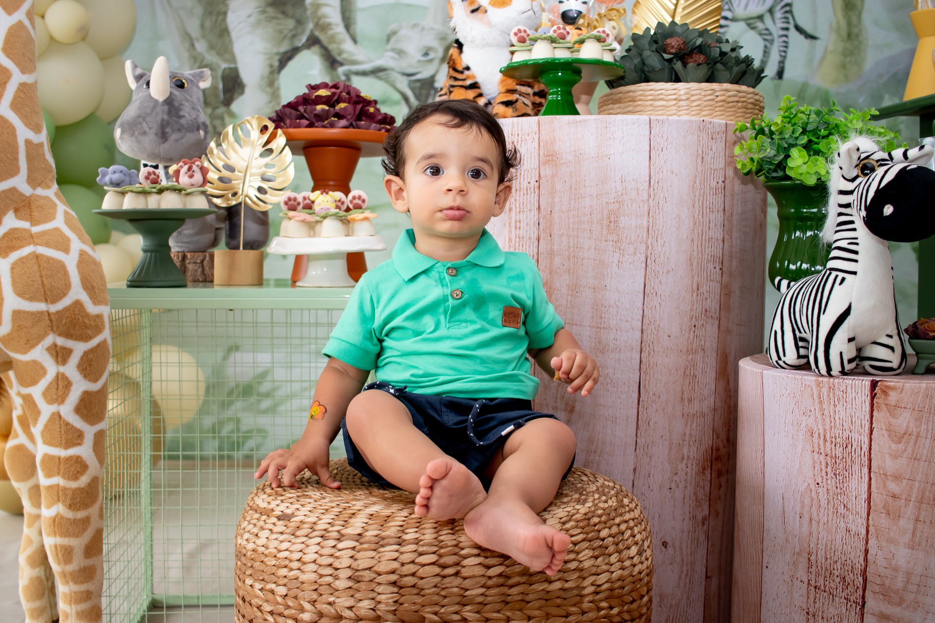 acompanhamento do bebe