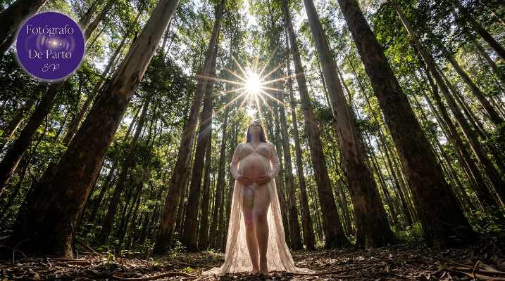 Fotografia de Gestante em Barueri com visual externo