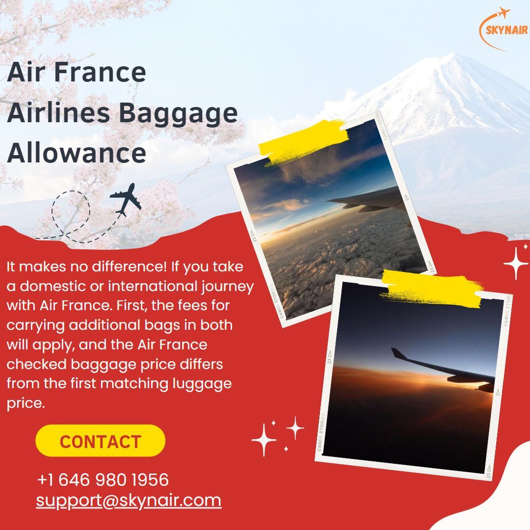 Buy additional outlet baggage air france