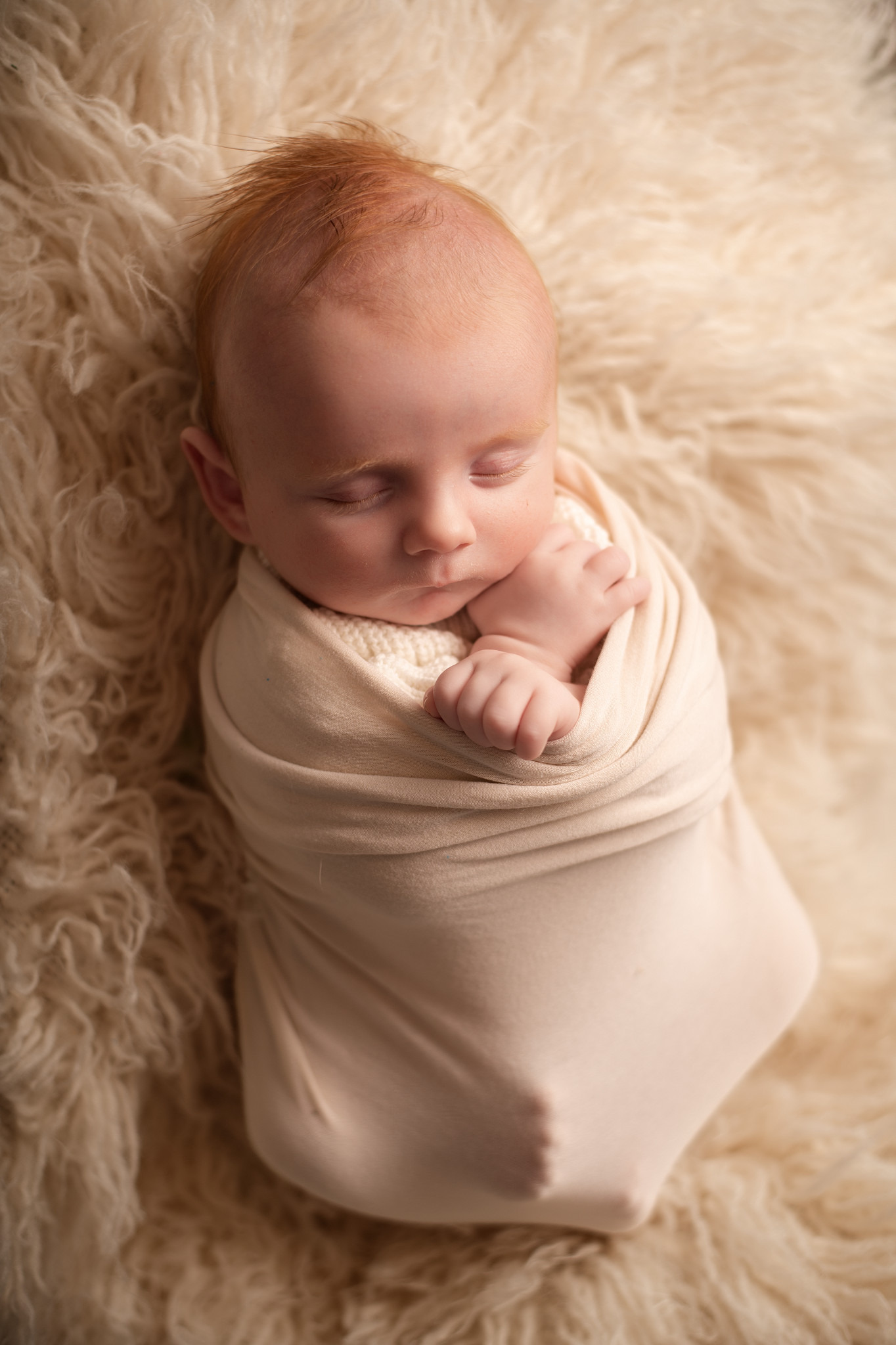 newborn wrapped baby photo session