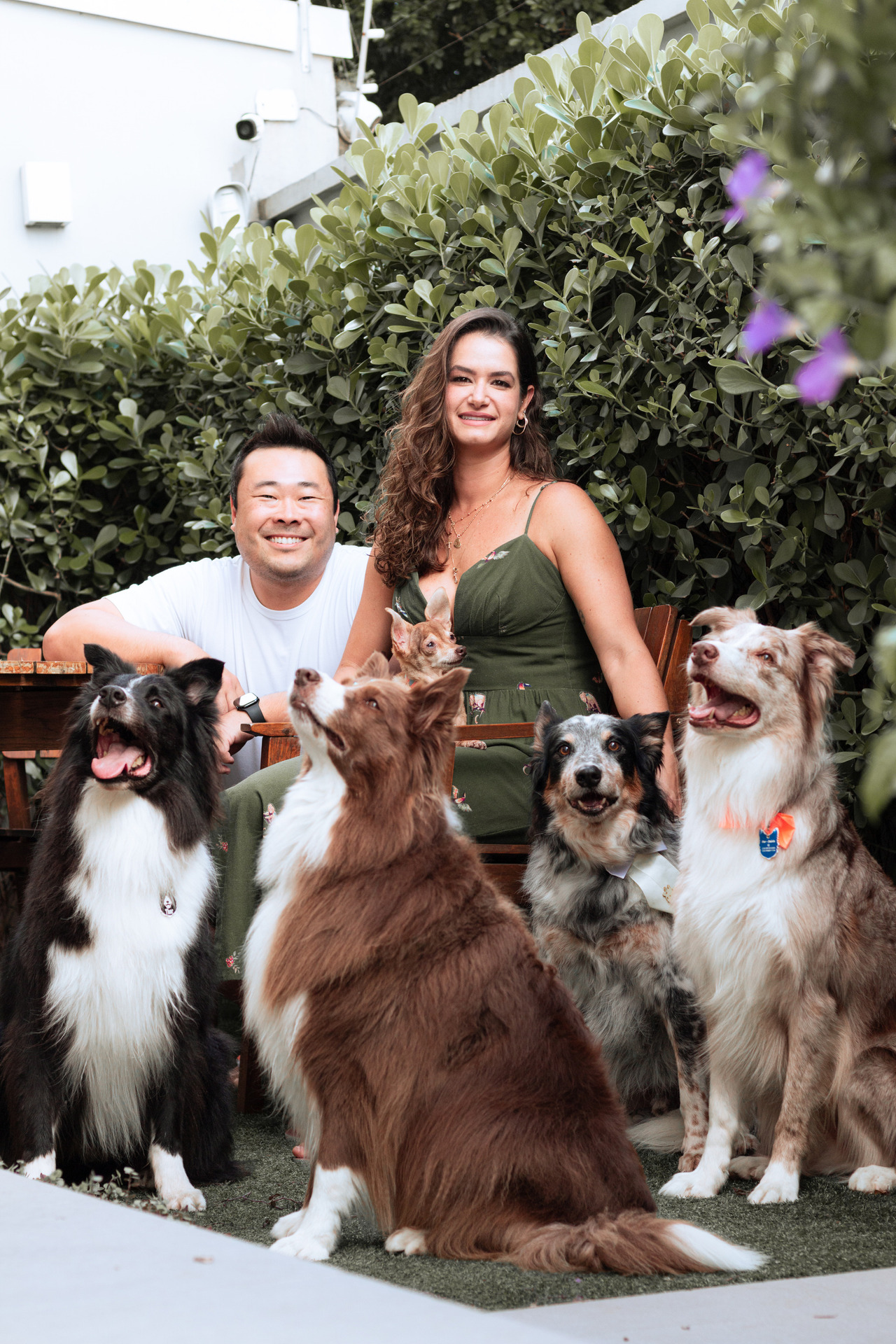 Ensaio Pet em Família na Praia de Santos | Emissário e Ponta da Praia 