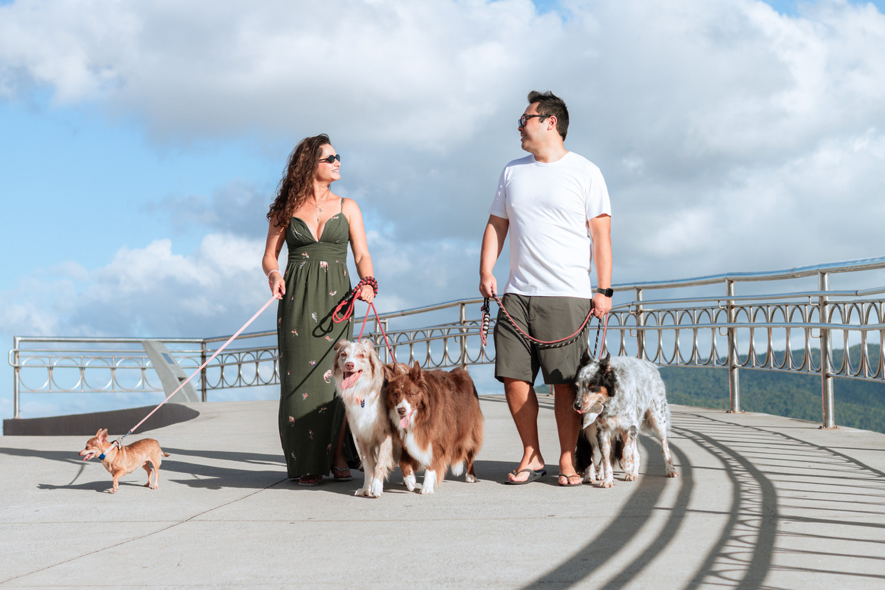 Ensaio Pet em Família na Praia de Santos | Emissário e Ponta da Praia