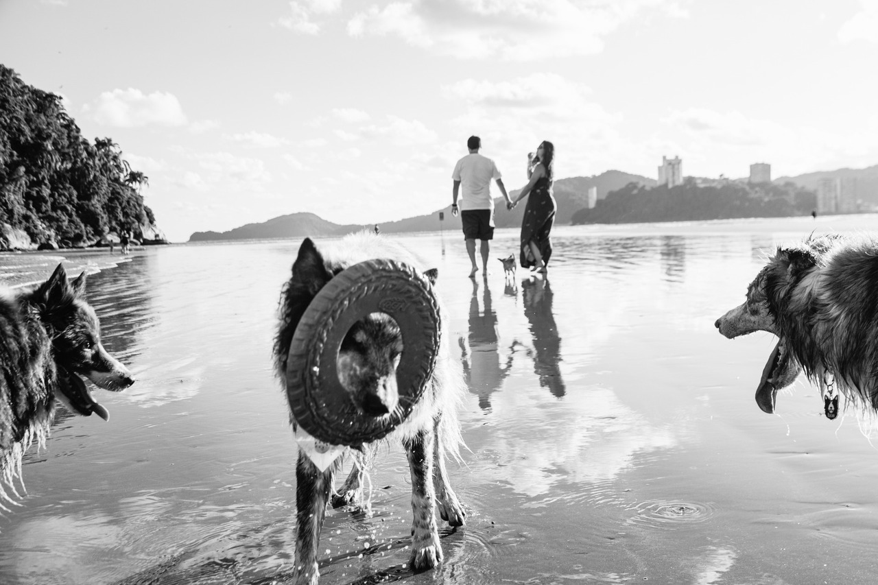 Ensaio Pet em Família na Praia de Santos | Emissário e Ponta da Praia
