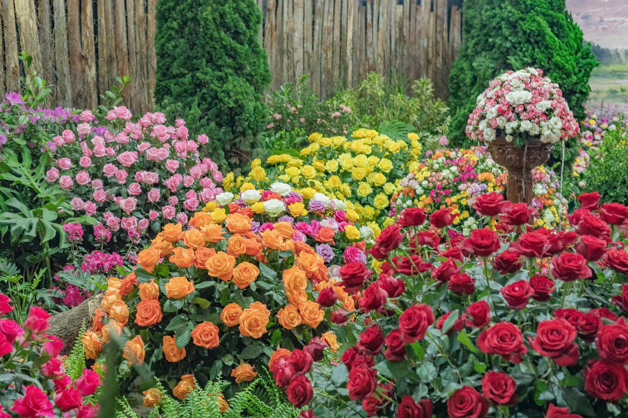 Flores-morango-festa-atibaia