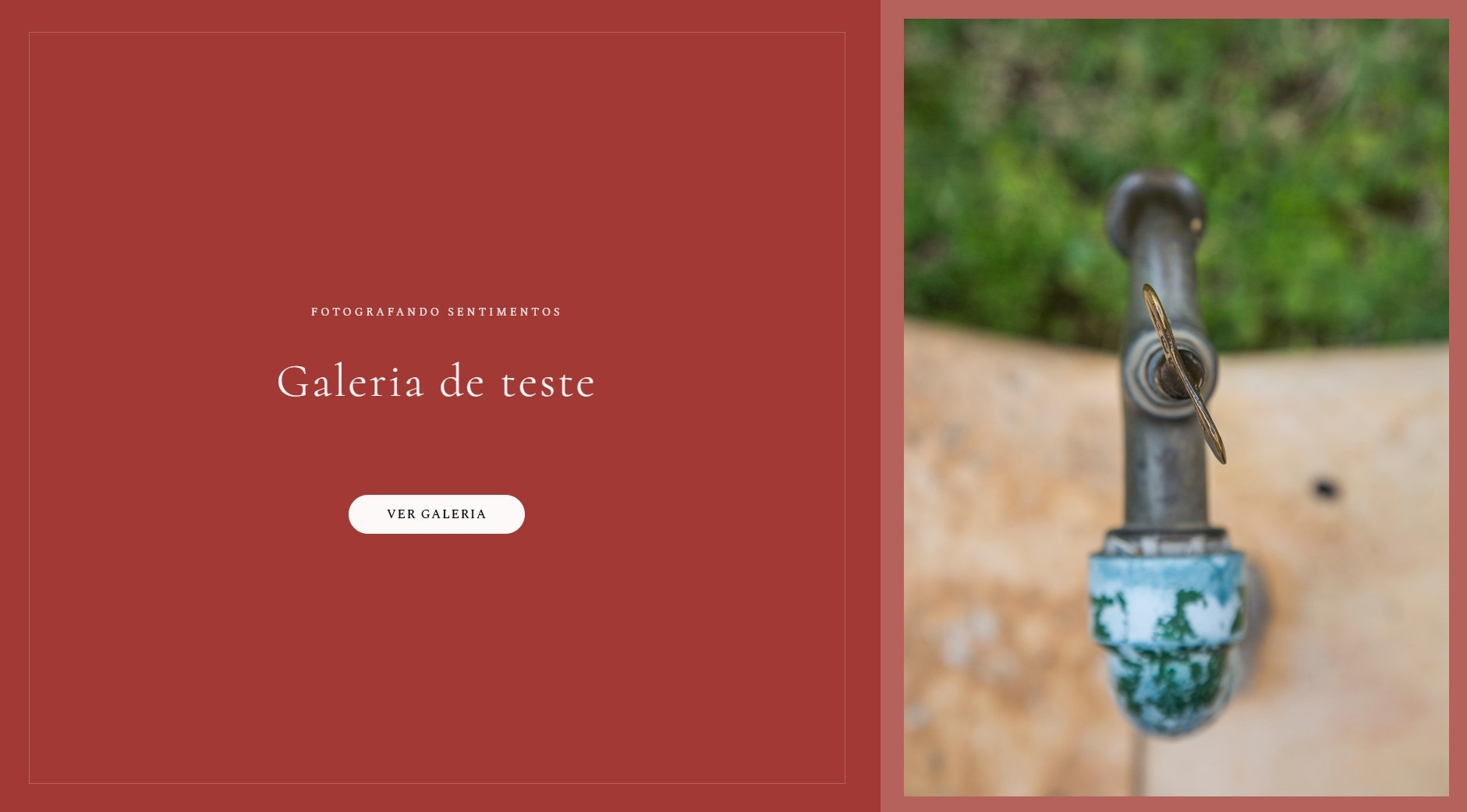 Captura de tela de uma galeria online de teste para entrega de fotos, mostrando a interface de visualização que o cliente terá acesso para aprovação.