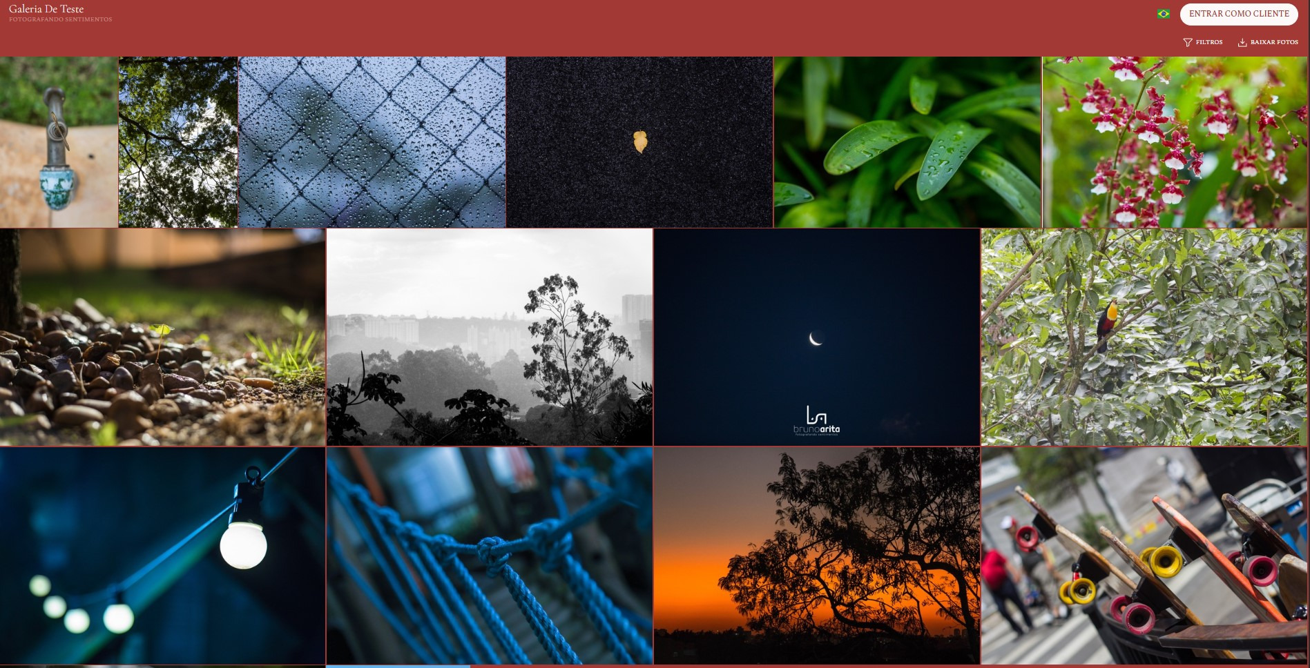 Captura de tela de uma galeria online com fotos distribuídas em formato de grid, permitindo ao cliente uma visualização organizada e rápida de todas as imagens entregues.