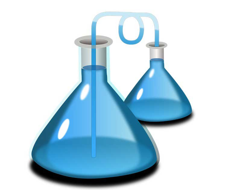 CLF - licença Polícia Federal São Paulo