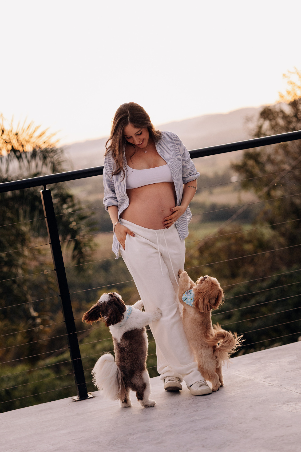 Gestante com seus pets durante ensaio gestante externo ao pôr do sol | Fotografia gestante com cachorros em Lajeado - Alba Estúdio