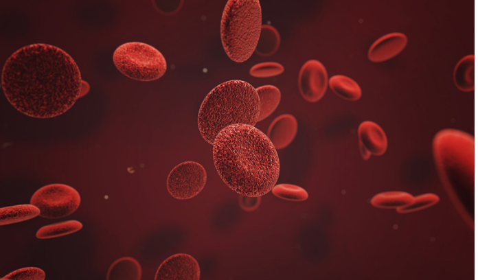 GritWell Blood Balance