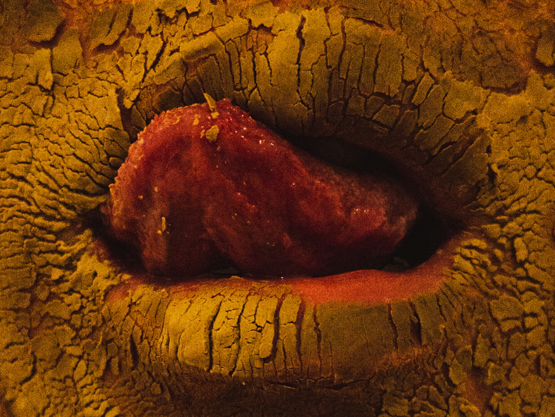 Autorretrato da artista visual Gabi Coêlho em close da boca com arames